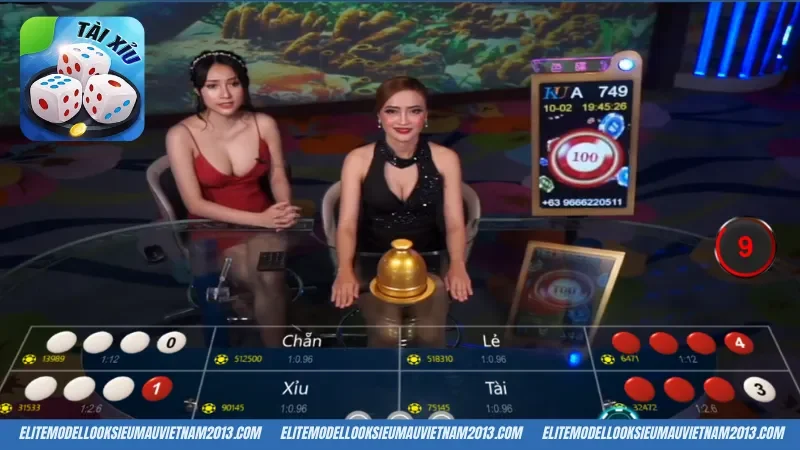 Mách nhỏ các quy định cơ bản trong game tài xỉu live Hitclub